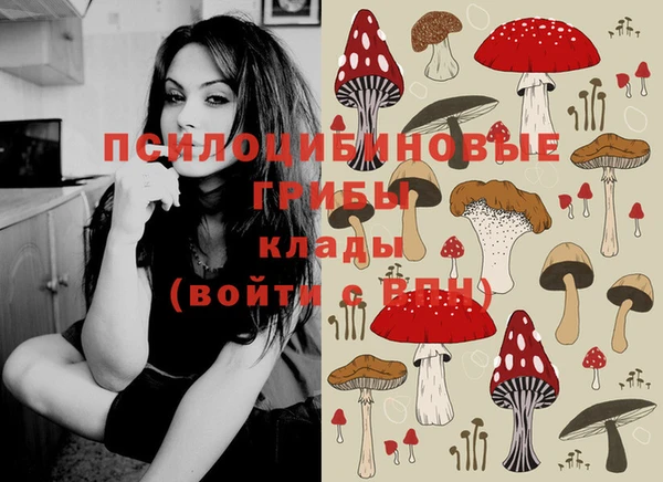 марки lsd Елизово