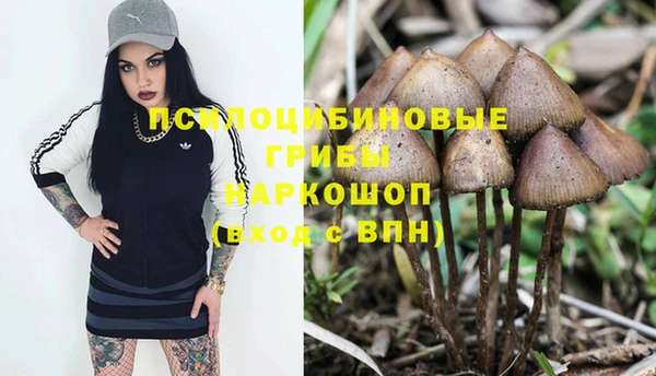 марки lsd Елизово