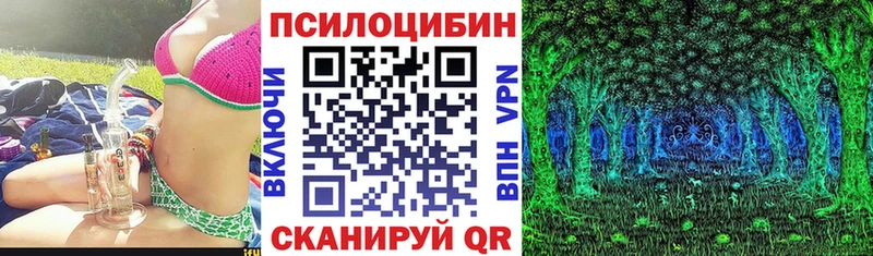 Купить где  Таганрог  Галлюциногенные грибы Psilocybe 